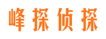 藁城外遇出轨调查取证